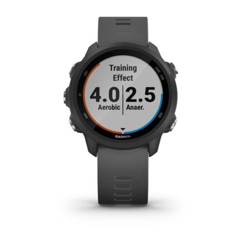 ساعت گارمین Forerunner 245 Grey