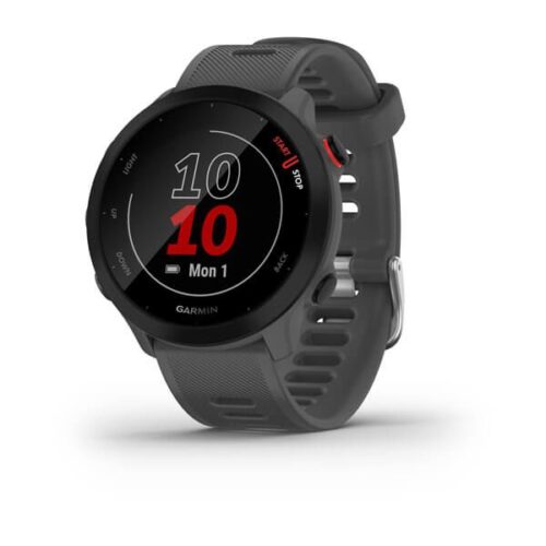 ساعت گارمین forerunner 55 gray
