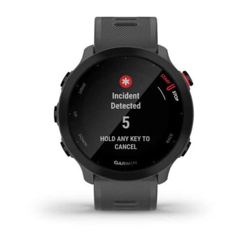ساعت گارمین forerunner 55 gray - تصویر 2