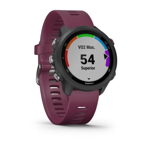 ساعت گارمین forerunner 245 merlot